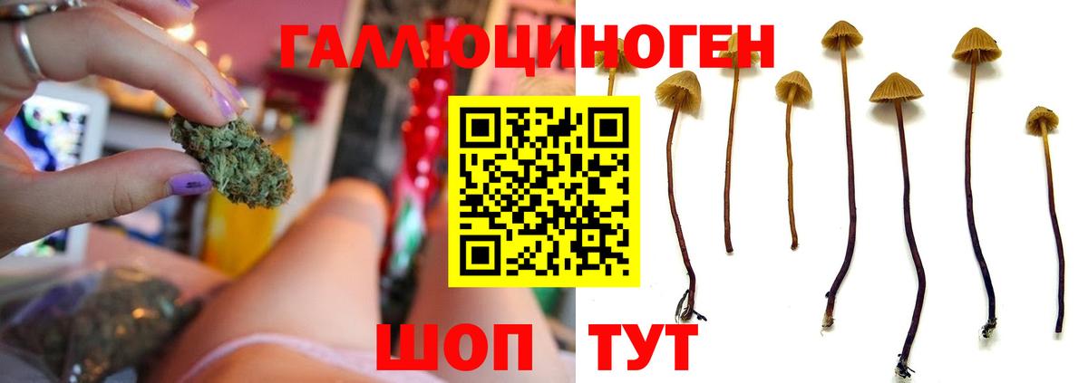 Галлюциногенные грибы MAGIC MUSHROOMS Калуга